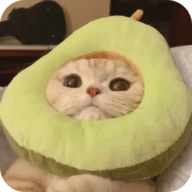 主播视频软件安装教程APP应用